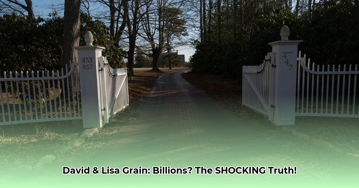 david-and-lisa-grain-net-worth
